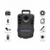 Беспроводная портативная Bluetooth колонка с микрофоном ALP-803 (BT, USB, SD, FM, микрофон, пульт)