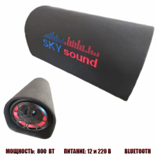 Портативная колонка Sky sound SS-8UB 800 W / Автомобильный сабвуфер