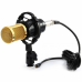 Студийный конденсаторный микрофон DM-800 со стойкой и ветрозащитой Black/Gold