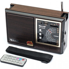GOLON QR-133UAR Радиоприемник с mp3