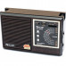 GOLON QR-133UAR Радиоприемник с mp3