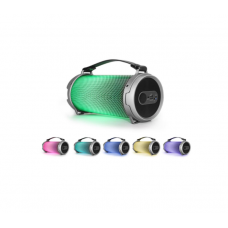 Портативная колонка Cigii S22R (USB, SD, AUX, micro-USB, FM, Bluetooth)