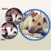 Самоочищающаяся зубная щетка для собак dogs brush
