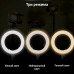 Кольцевая LED лампа A390, 1 крепление телефона, пульт, 220V,  диаметр 39см (301-330)