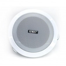 Потолочные динамики (колонки) CS 5500