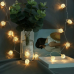Xmas гирлянда Golden Ball 10 led WW-1 тепло-белый 2м