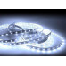 Новогодняя светодиодная лента SL (12V) 5м белая