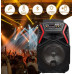 Переносная акустическая система MEGAFOX OTY-895 (8"x1) (10W) (Беспроводной Микрофон + пульт) 2400 mAh
