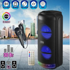 Переносная акустическая система SURFACE RX-8228 (8"x2) (30W) (Проводной микрофон) (3000mAh) (Пульт)