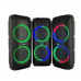 Переносная акустическая система SURFACE RX-8250B (8"х2) (20W) (Проводной микрофон) (3000mAh) (Пульт)