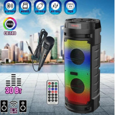 Переносная акустическая система SURFACE ZQS6210W (6,5"x2) (15Wx2) (Проводной микрофон) (4500mAh) (Пульт)