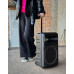 Переносная акустическая система SURFACE RX-1225D (12"x1) (20W) (Беспроводной микрофон) (4500mAh) (Пульт)