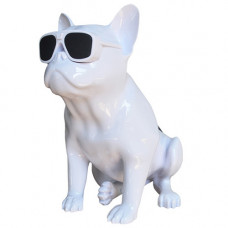 Bluetooth-колонка Aerobull BIG DOG S4, c функцией speakerphone, радио