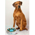 Кормушка Paw Perfect миска для медленной подачи еды для собак и кошек круглая 0.47 л