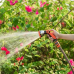 Насадка - Пистолет распылитель воды Garden G707-1 10-режимов распыления, быстросъемное подключение