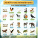 Детская интерактивная игрушка Горн со звуками животных Animal Caller Горн с имитацией 30 звуков животных Детская интерактивная игрушка Горн со звуками животных Animal Caller Горн с имитацией 30 звуков животных